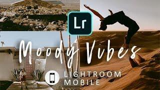 Travel Blogger Lifestyle Lightroom Preset Mobile Pack Demonstration