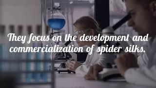 What Do Spider Silk Companies Do!/ Name of the Best Spider Silk Company/ Spider Silk Company