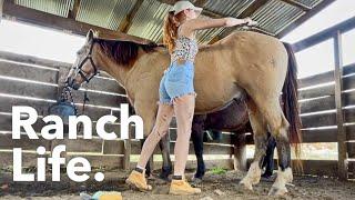 A British girl tries Ranch Life in Tennessee.