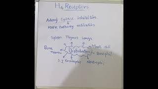 H4 receptors// histamine// PHARMA KNACK//