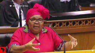 WATCH EFF Mam`Khawula Causing Chaos In Parliament - FUNNY