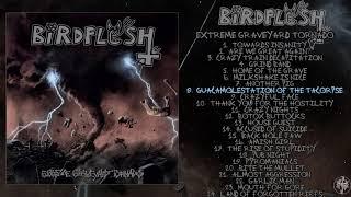 Birdflesh - Extreme Graveyard Tornado FULL ALBUM (2019 - Grindcore)