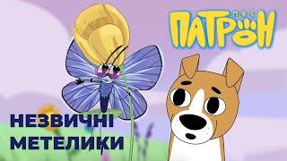 Animated series "Patron The Dog". Episode 9. "Unusual butterflies".