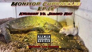 Monitor Chronicles EP.14 “Krueger Vs Jumbo Rat”|️Warning Live Feeding️