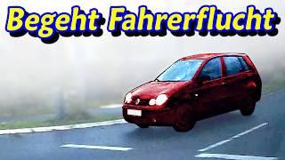 Unfall mit Fahrerflucht, Mutter des Jahres und Blitzeinschlag | DDG Dashcam Germany | #605