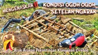 Mengenaskan‼️Kondisi Ogoh Ogoh Setelah Arak Arakan Pekantingan 