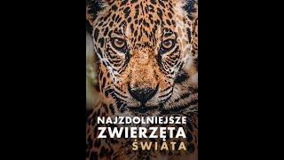 Najzdolniejsze Zwierzęta Świata Odc. 1