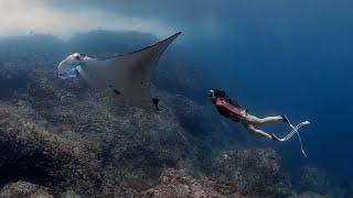 Diving The Dragon | Diving Komodo, Indonesia (ft. Behind The Mask)