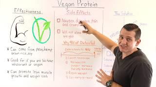 What is Vegan Protein?