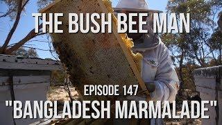 Collecting Mallee Honey for Extracting using Escape Boards - The Bush Bee Man