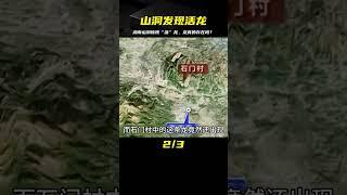 湖南山洞驚現“活”龍，渾身布滿龍鱗，難道龍并非神話中生物？