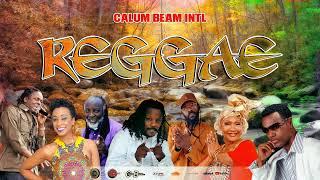 Reggae Mix 2023 - Alaine,Wayne Wonder,Freddie Mcgregor,Richie Spice,(Calum beam intl)