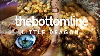 the bottomline - LITTLE DRAGON (official video - 2021)