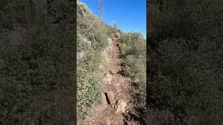 ON THE WAY-UP!!! #hikingaddict #coconinonationalforest #wilsontrail #sedona #hikingtrail #nature