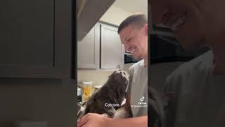 Catcore
