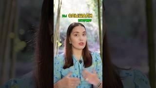 Маяковский ср*л на розы? 