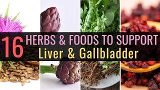 Top 16 Herbs to Support Liver & Gallbladder | Blissed zone