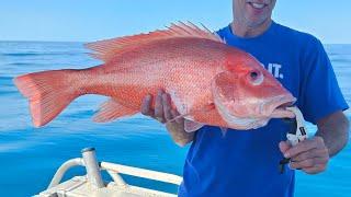 fishing 100km off shore,  great barrier reef CQ