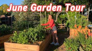 My Full Vegetable Garden Tour - June 2024 - Michigan Zone 6a