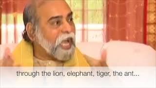 30 Mins with Sri Amma Bhagavan