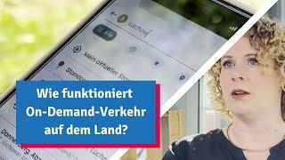 Wie funktioniert On-Demand-Verkehr auf dem Land? MOBILOTSIN vor Ort im Wendland