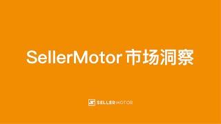 SellerMotor市场洞察 6 细分市场分析