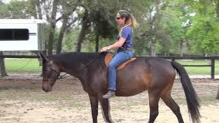 How to Slow Down Your Fast Horse: Turning Go into Whoa