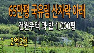 [급매]대지200평,밭800평,주택27평,별채11평  #충청도전원주택매매#괴산전원주택매매#괴산땅매매#전원주택매매#농가주택매매#청주부동산#충북토지매매#충청도땅매매#경기도땅매매