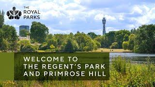 Discover The Regent’s Park & Primrose Hill, one of London’s Royal Parks