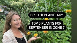 Top 5 plants for September in zone 7