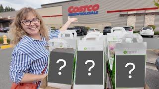 Costco Bulb Haul | My Top Picks and Passes