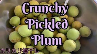 Green Crunchy Pickled Plum||Easy Pickled Plum just in 3 Days||三日間カリカリ梅干し#165