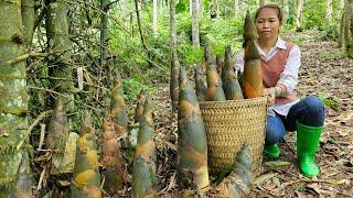 How to cook marinated bamboo shoots and make chili bamboo shoots from giant gills