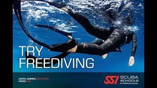 Freediving basics