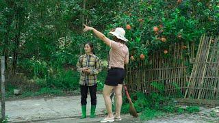30 Days | Ly Tu Linh learns how to renovate, build a house and develop a farm, build a life.