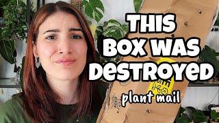 UPS Did Me Dirty!!  this box was in bad shape  PLANT MAIL!!