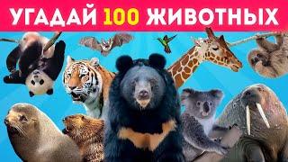 УГАДАЙ 100 ЖИВОТНЫХ / УГАДАЙ ЖИВОТНОЕ ЗА 3 СЕКУНДЫ / EMOJI COOL 