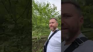 Дом, сад и огород - всего за 15 млн.! #недвижимость