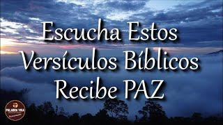 Recibe PAZ escuchando estos Poderosos Versículos Bíblicos | Biblia hablada | Bible audio