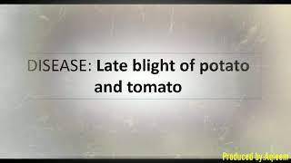 ​​Late blight of potato and tomato | Symptoms and Signs | History | Control