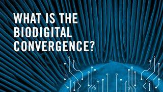 What is the biodigital convergence?