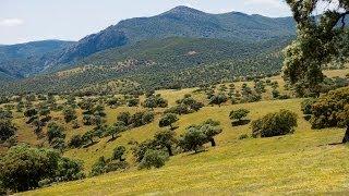 Paisajes de España Castilla-La Mancha/ Landscapes of Spain. Castile-La Mancha