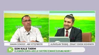 ÜLKEMİZİN DÜNYA ARICILIK SEKTÖRÜ İÇİNDEKİ DURUMU NEDİR | SON KALE TARIM