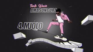 Tanto Wavie - Mjolo