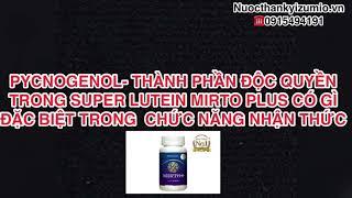 Pycnogenol cải thiện chức năng nhận thức