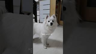 대관절.. 언니가 뭐길래~ ^0^ #shorts