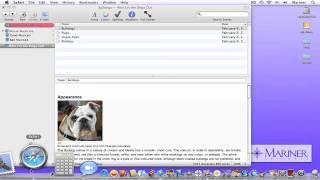 MacJournal Tutorial III