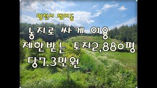 (영천착한부동산)NO.626/영천시범어동 싼 토지 2,880평/당7.3만원의 농사짓기 최적인 싼 토지