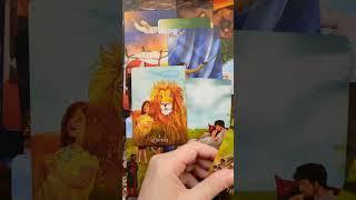 Quick Look - The Sufi Tarot
