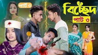 বিচ্ছেদ পার্ট ৩ | Bichchhed Part 3 l Bangla Natok 2025 l Toni & Salma l Palli Gram TV